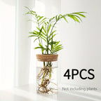 1pc, Hydroponics Glass Planter Vase