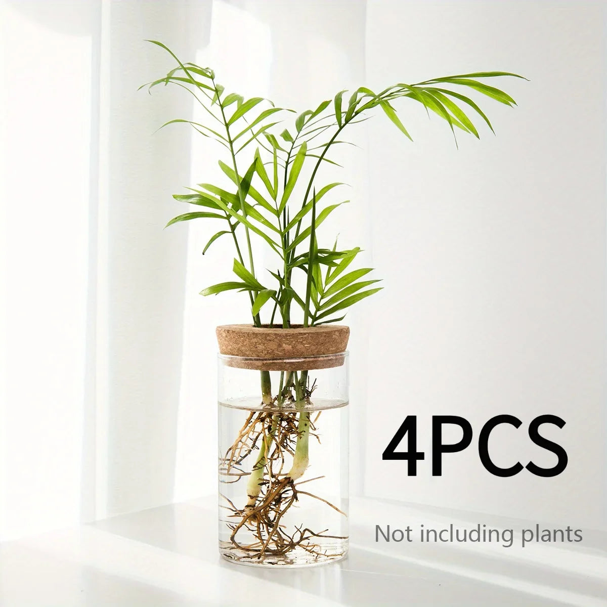 1pc, Hydroponics Glass Planter Vase