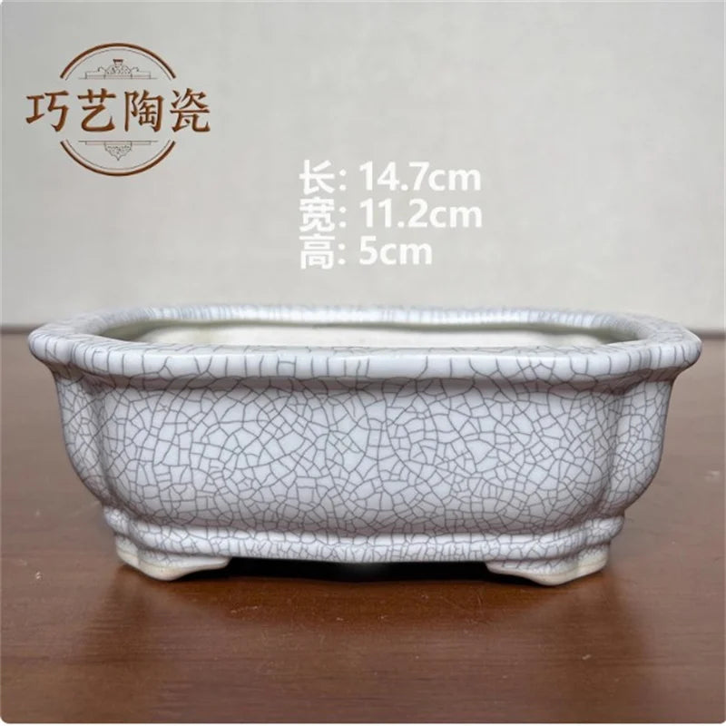 Porcelain Glazed Colorful Bonsai Pot