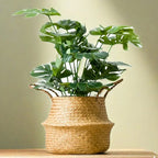 Planter Storage Basket