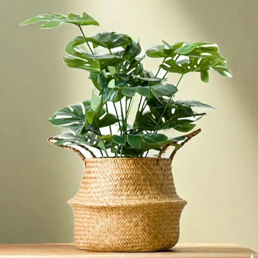 Planter Storage Basket