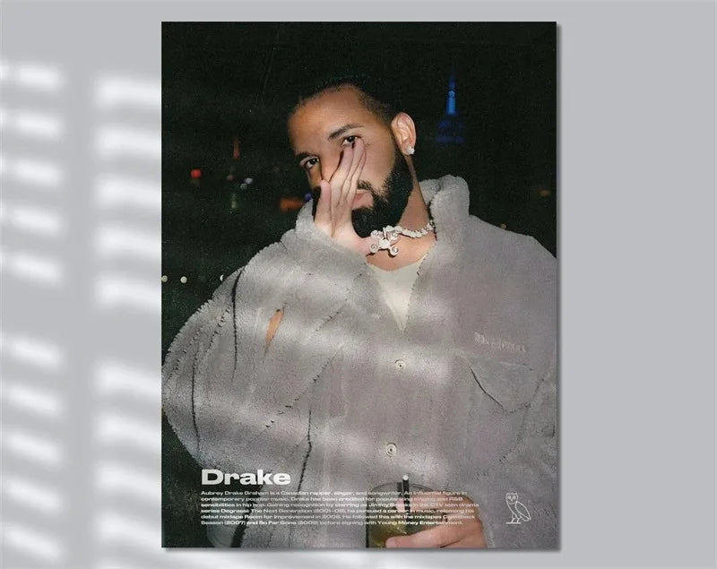 Black and White Drake Concert Cover Poster