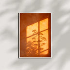 Sunset Window Shadow Botanical Wall Art Canvas Print
