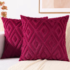 HAPIHAPPY Throw Pillow Covers Set of 2