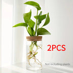 1pc, Hydroponics Glass Planter Vase