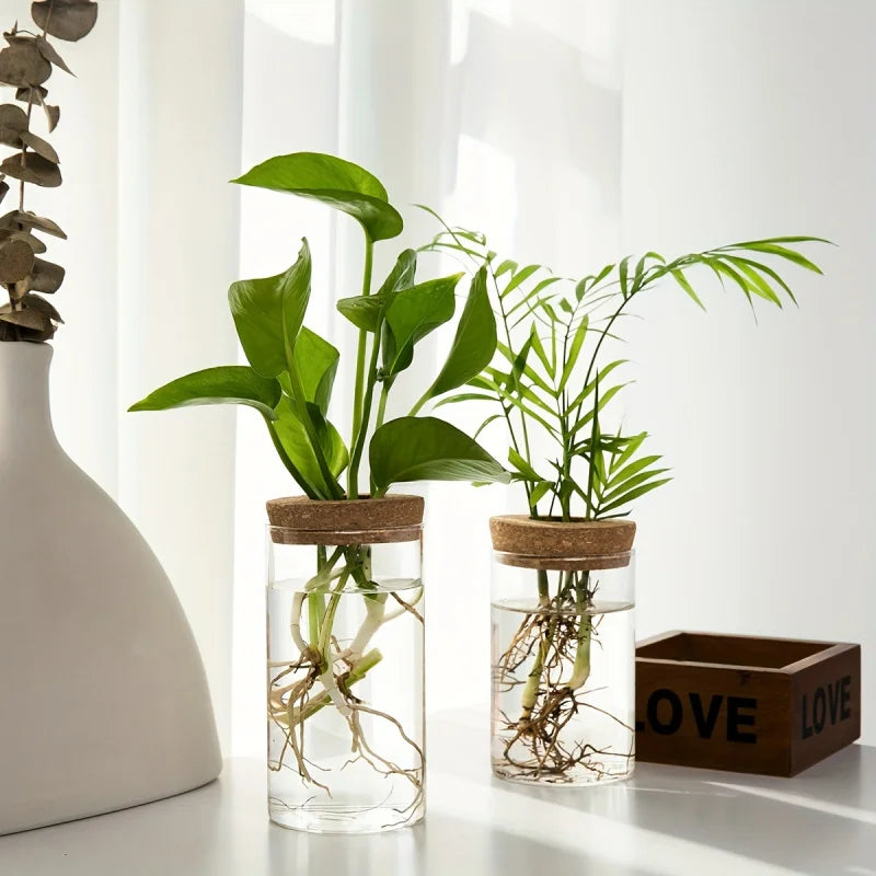 1pc, Hydroponics Glass Planter Vase
