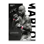 Boxing Star Canvas Wall Art Print Poster MMA Decorative Painting