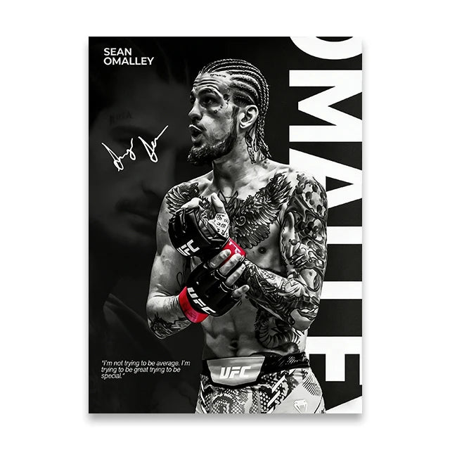 Boxing Star Canvas Wall Art Print Poster MMA Decorative Painting