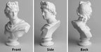 Apollo Bust Greek and Roman Mythology God of Sunlight 6 inch Resin Head Sculpture