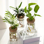 1pc, Hydroponics Glass Planter Vase