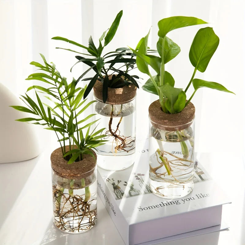 1pc, Hydroponics Glass Planter Vase