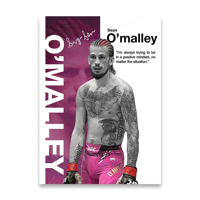 Boxing Star Canvas Wall Art Print Poster MMA Decorative Painting