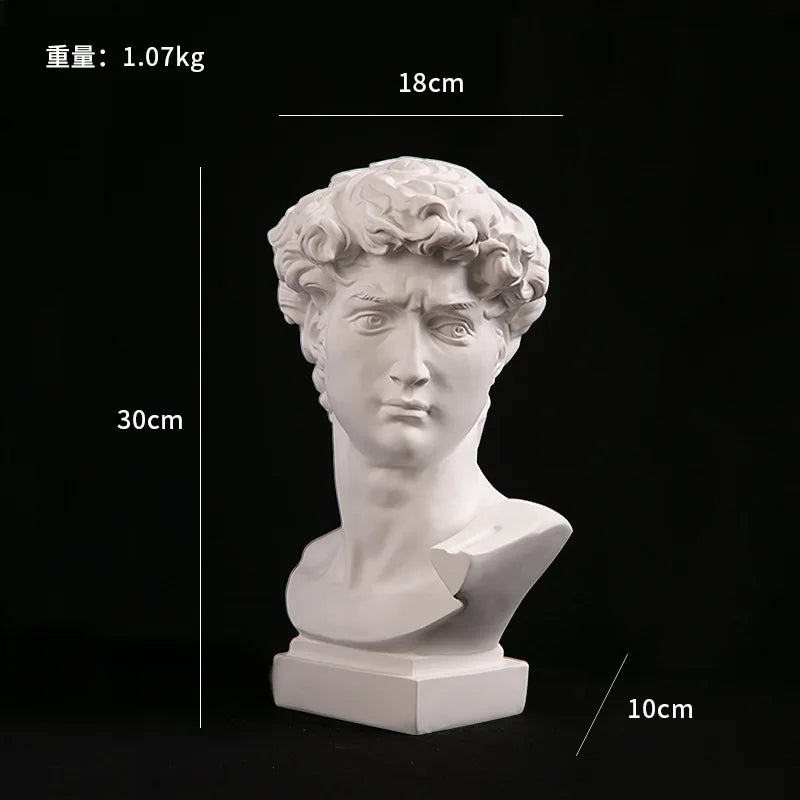 European Home Decoration David Head Resin Statue