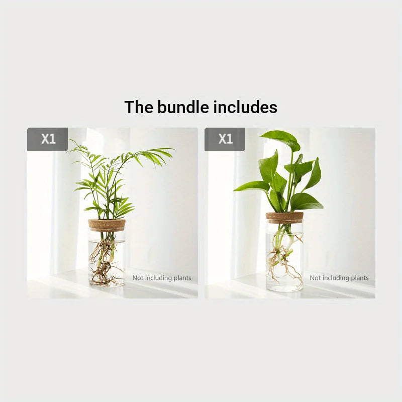 1pc, Hydroponics Glass Planter Vase