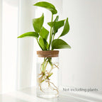 1pc, Hydroponics Glass Planter Vase