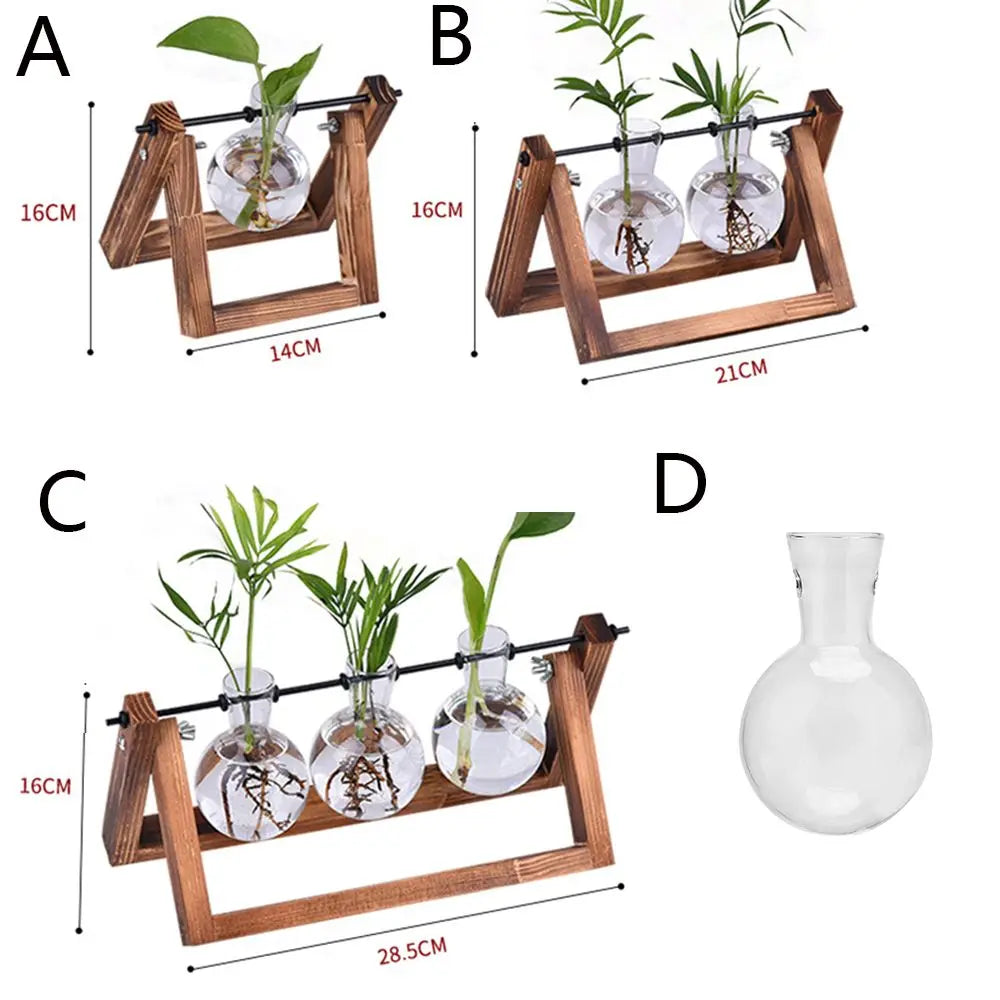 Hydroponic Plant Vases Glass Vase Vintage Bonsai Flower Pot Terrarium