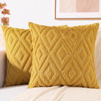 HAPIHAPPY Throw Pillow Covers Set of 2
