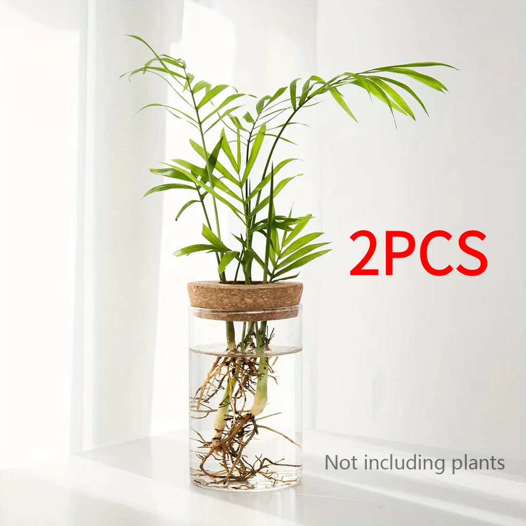 1pc, Hydroponics Glass Planter Vase