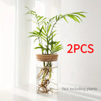 1pc, Hydroponics Glass Planter Vase