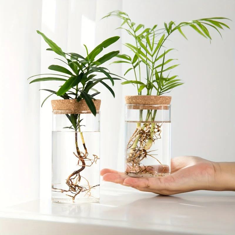 1pc, Hydroponics Glass Planter Vase