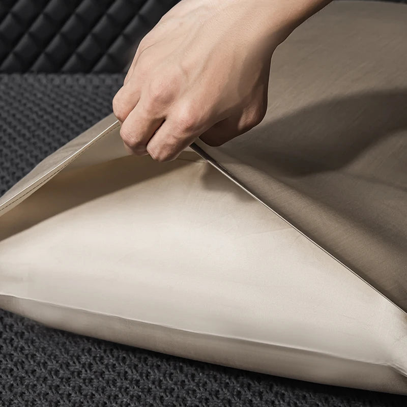 100% Natural Mulberry Silk Pillow Case Real Silk