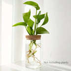 1pc, Hydroponics Glass Planter Vase