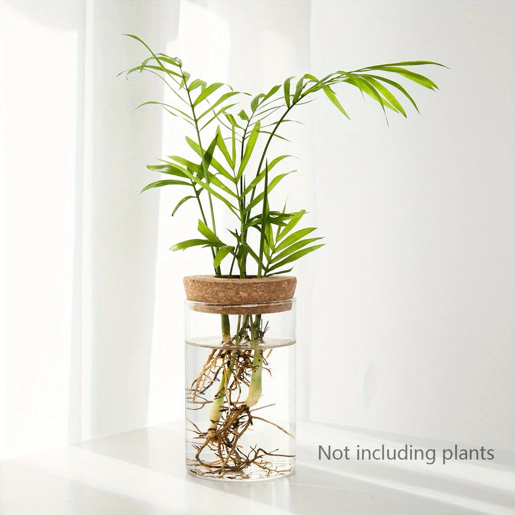 1pc, Hydroponics Glass Planter Vase