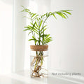 1pc, Hydroponics Glass Planter Vase