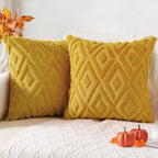 HAPIHAPPY Throw Pillow Covers Set of 2