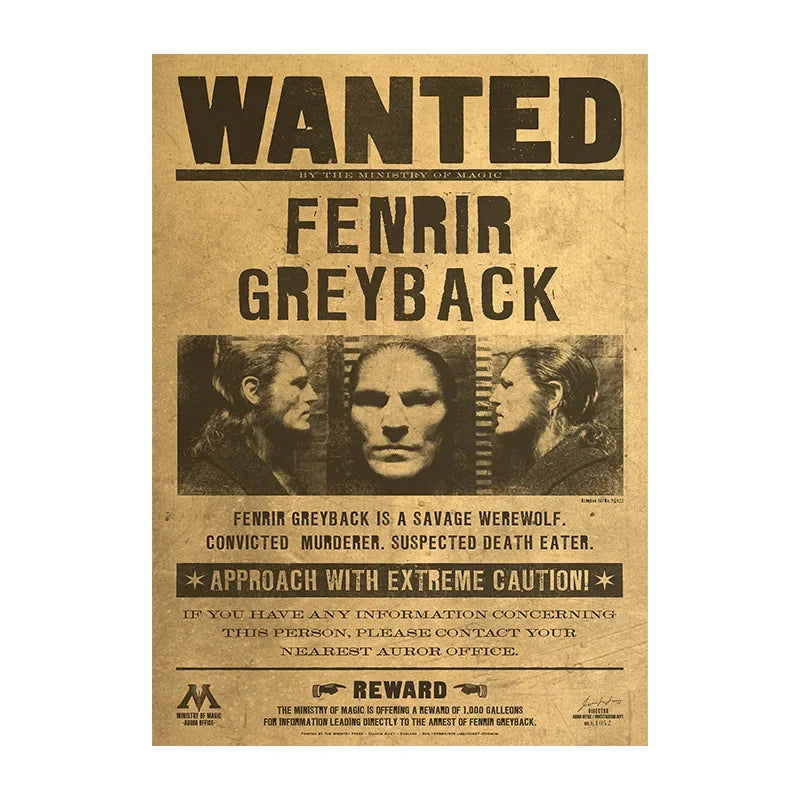 Magic School Movie Peripheral Posters