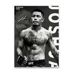 Boxing Star Canvas Wall Art Print Poster MMA Decorative Painting