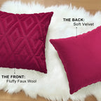 HAPIHAPPY Throw Pillow Covers Set of 2
