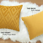 HAPIHAPPY Throw Pillow Covers Set of 2