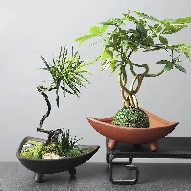 Personalized Ceramic Flower Pots