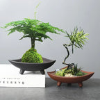 Personalized Ceramic Flower Pots