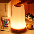 13 Color Changing Night Light RGB Remote Control