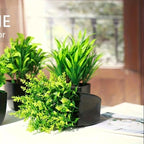 1pc Fake Mini Artificial Eucalyptus Potted Plant