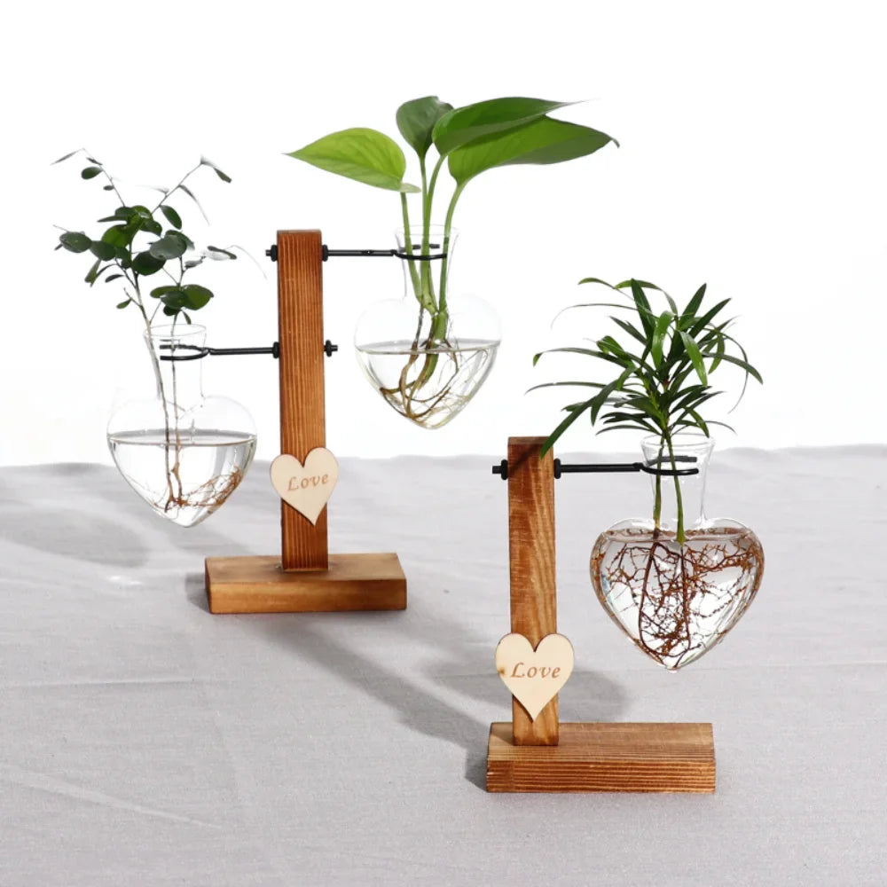 Hydroponic Vase Vintage Desktop Plant Terrarium Planter