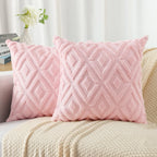 HAPIHAPPY Throw Pillow Covers Set of 2