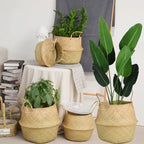 Planter Storage Basket